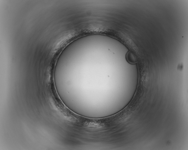 X0000113600635200910021742