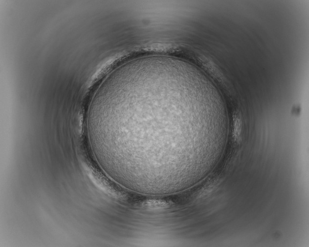 X0000113600636200910021742