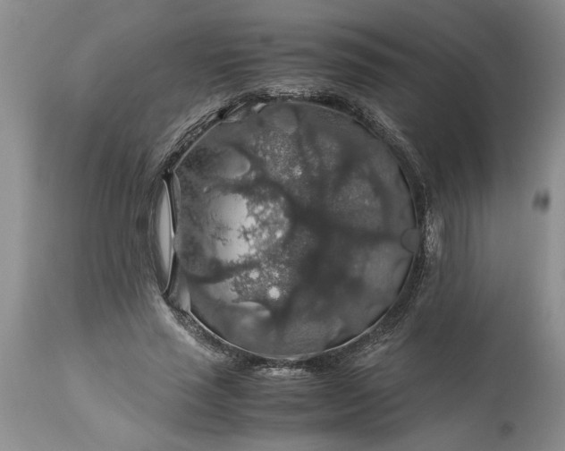 X0000113600637200910021742