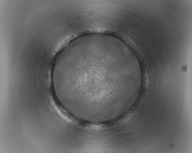 X0000113600638200910021742