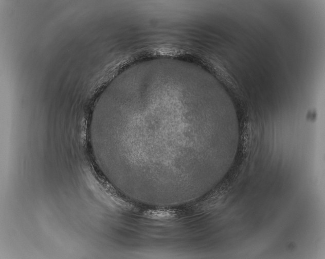 X0000113600639200910021742