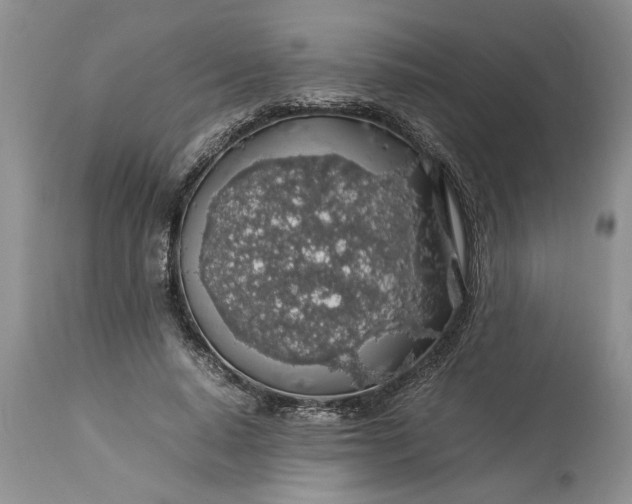 X0000113600640200910021742