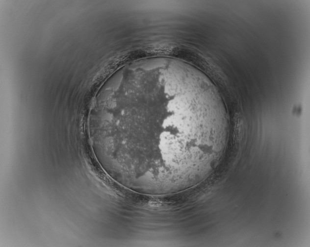 X0000113600641200910021742