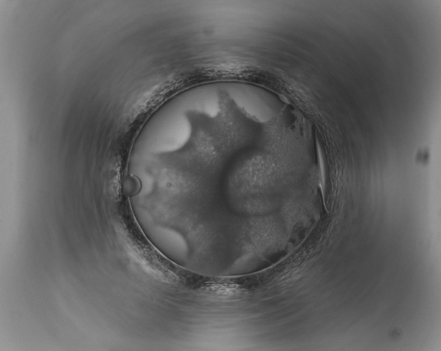 X0000113600642200910021742