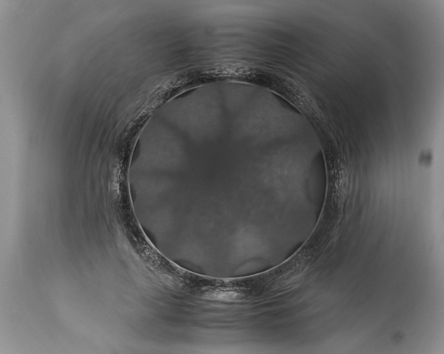 X0000113600643200910021742