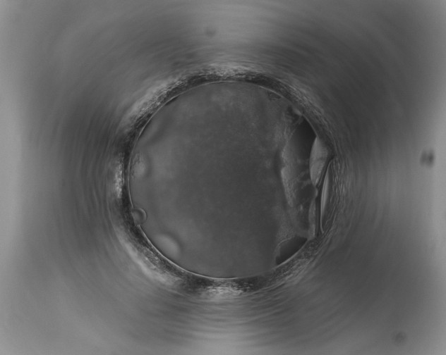 X0000113600644200910021742