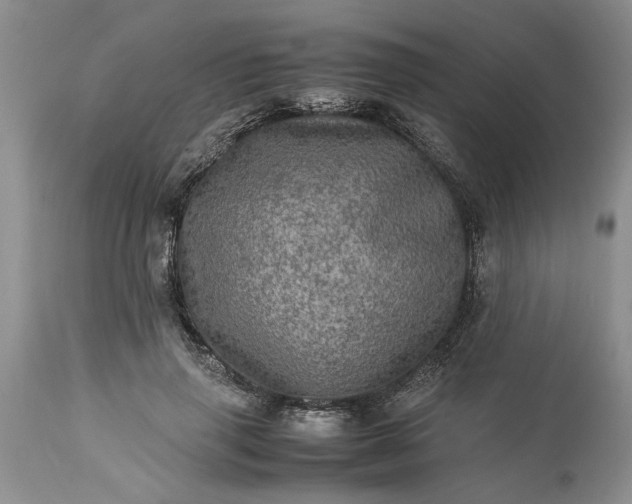 X0000113600645200910021742