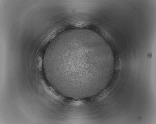 X0000113600646200910021742