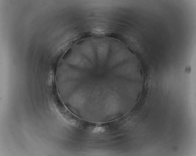 X0000113600647200910021742