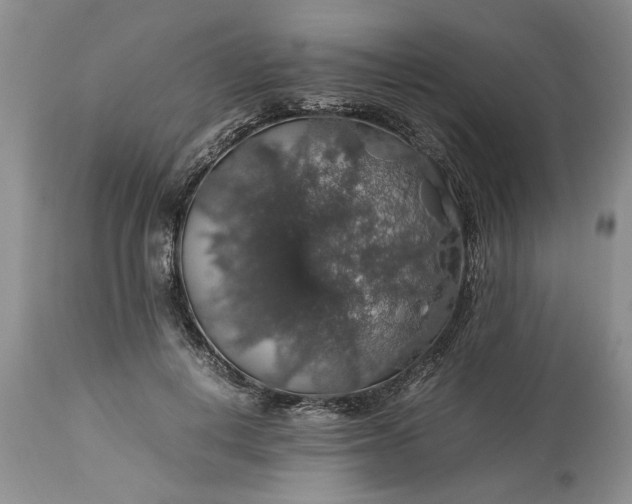 X0000113600648200910021742