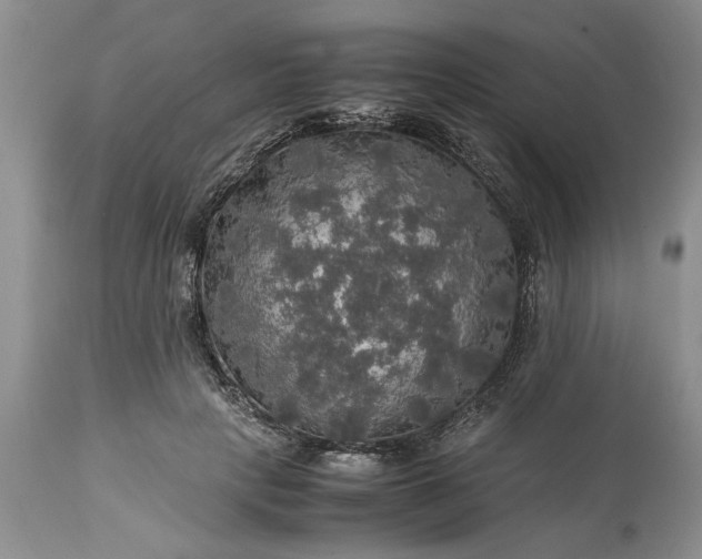 X0000113600649200910021742