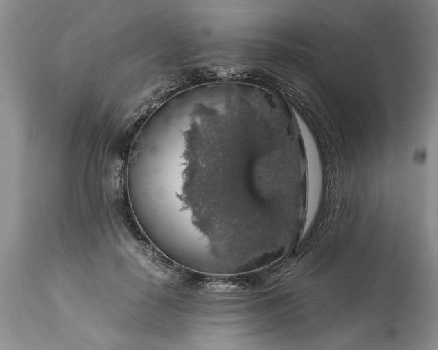 X0000113600650200910021742