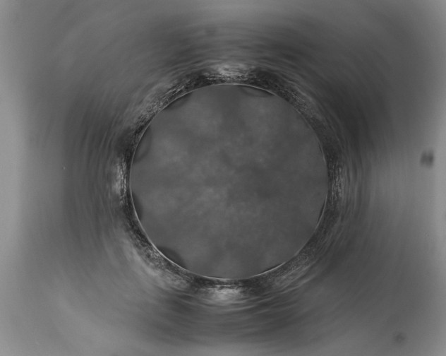 X0000113600651200910021742