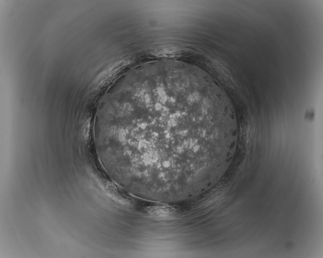 X0000113600652200910021742