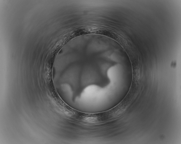 X0000113600653200910021742