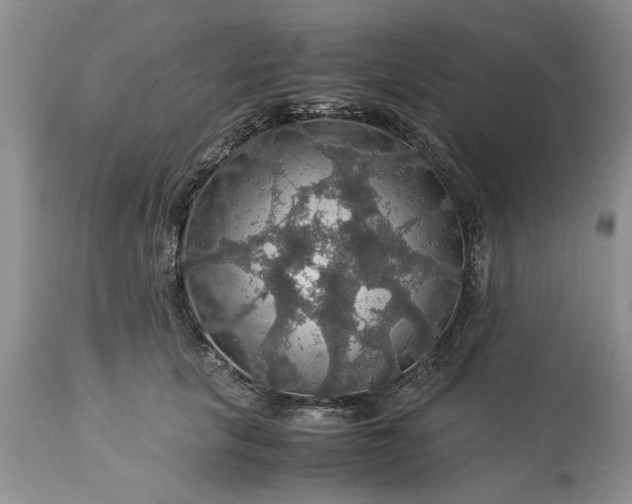 X0000113600657200910021742