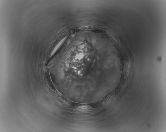 X0000113600659200910021742