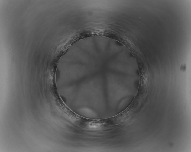 X0000113600661200910021742