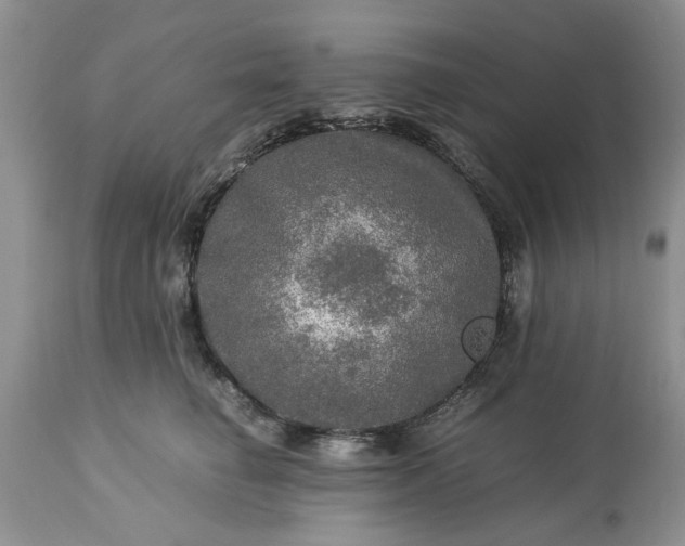 X0000113600662200910021742