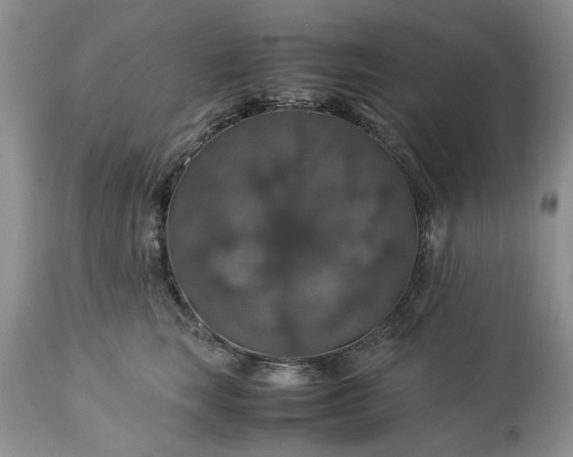 X0000113600663200910021742