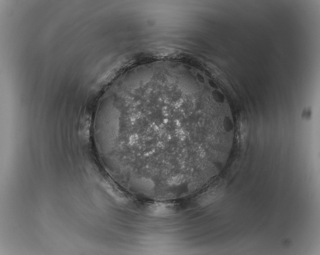 X0000113600664200910021742