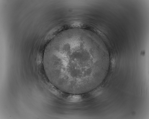 X0000113600665200910021742