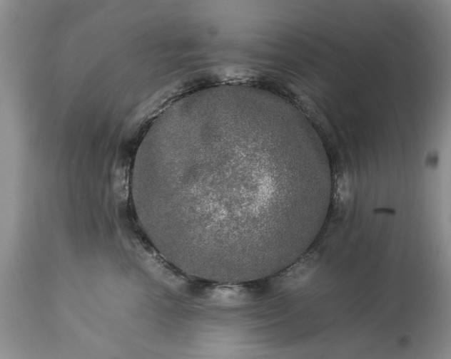 X0000113600666200910021742