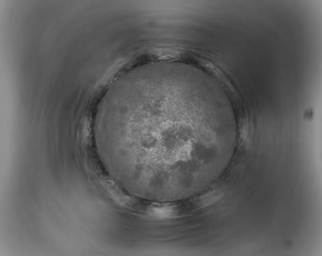 X0000113600667200910021742