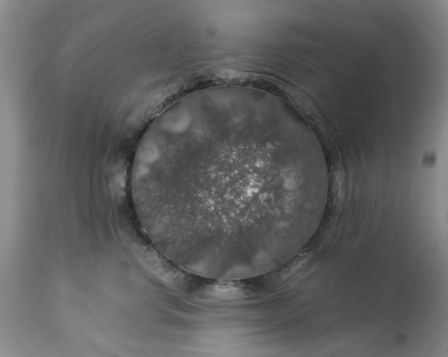 X0000113600668200910021742