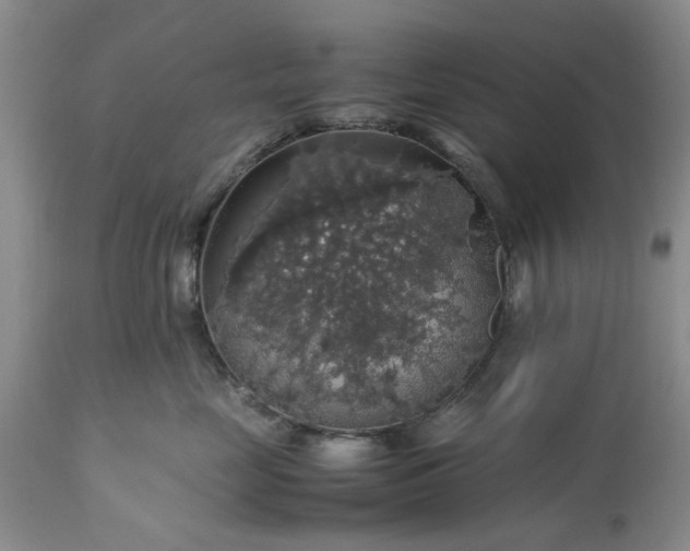 X0000113600669200910021742