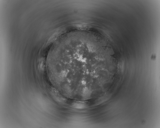 X0000113600671200910021742