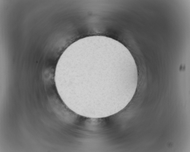 X0000113600672200910021742