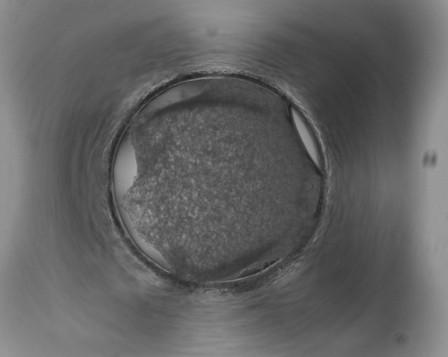 X0000113600673200910021741