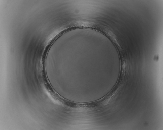 X0000113600674200910021741