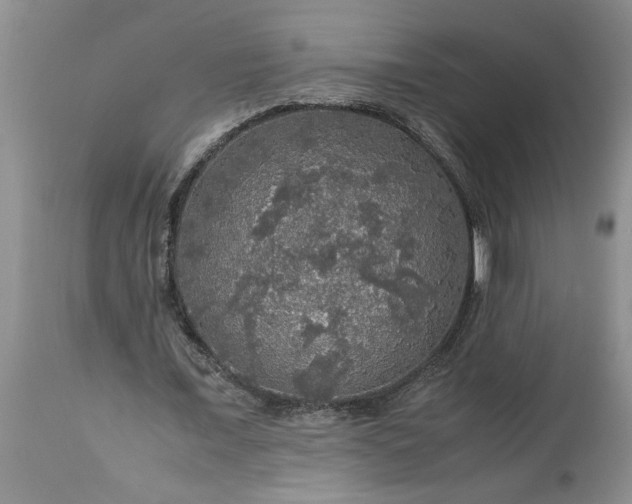 X0000113600675200910021741