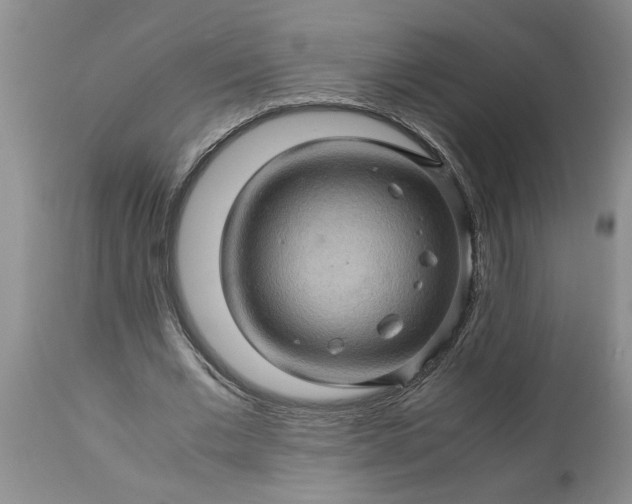 X0000113600677200910021741