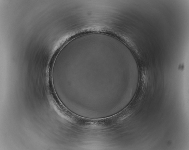 X0000113600678200910021741