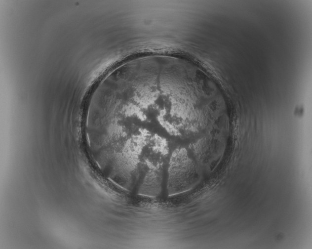 X0000113600679200910021741