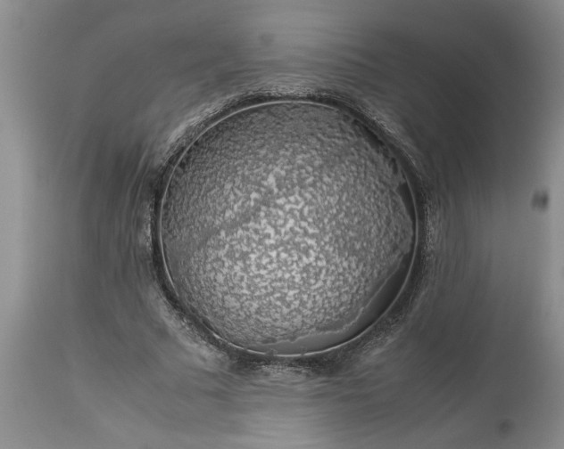 X0000113600681200910021741