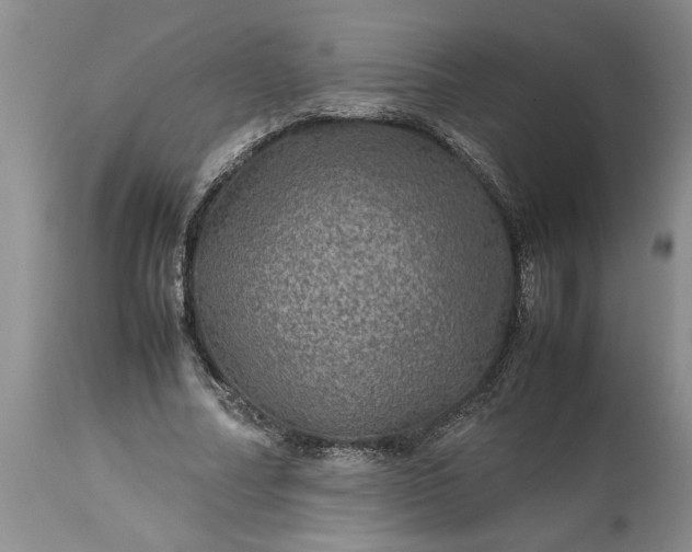 X0000113600682200910021741