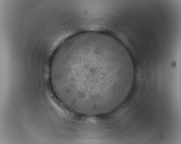 X0000113600683200910021741