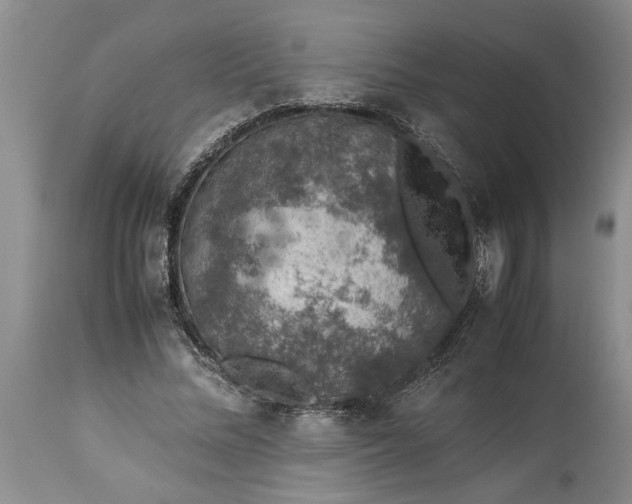 X0000113600684200910021741