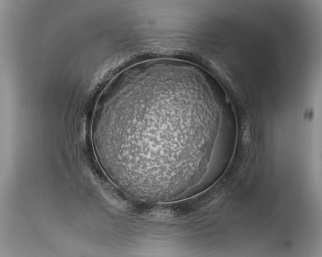 X0000113600685200910021741