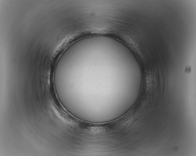 X0000113600686200910021741