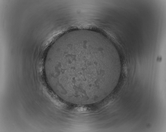 X0000113600687200910021741