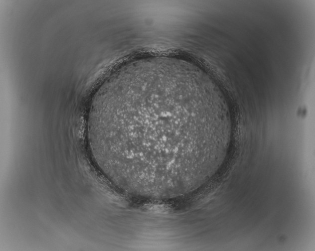 X0000113600689200910021741