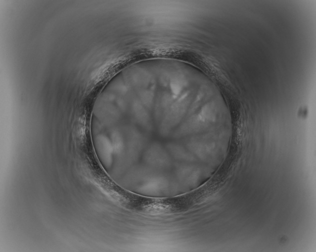 X0000113600691200910021741