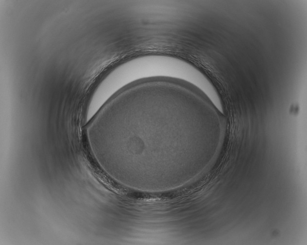 X0000113600692200910021741