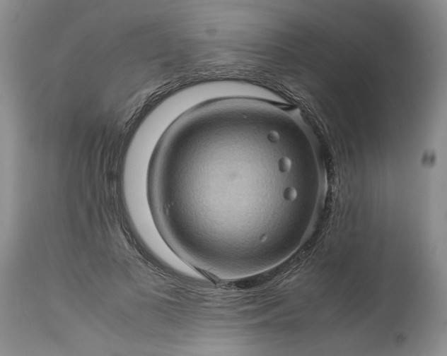 X0000113600693200910021741