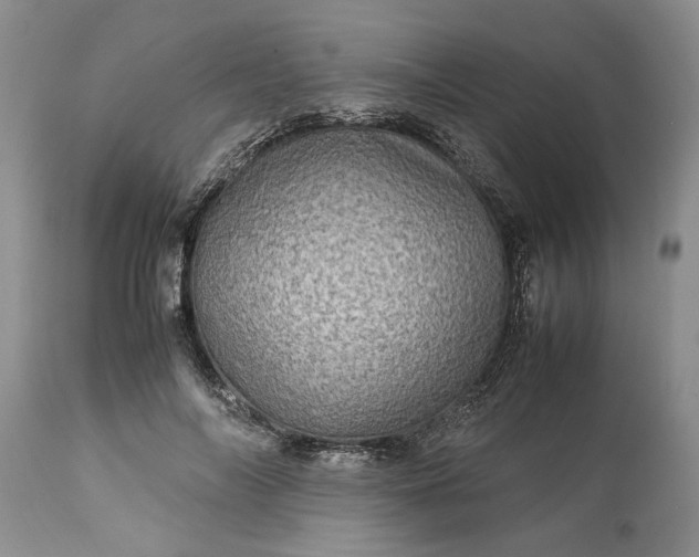 X0000113600694200910021741